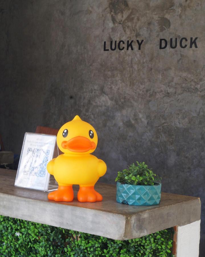 Lucky Duck Pj Hotel Cancún Kültér fotó